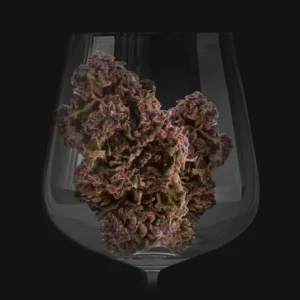 Fleurs violettes de Legendary OG par Utoplantes dans un verre à vin sur un fond noir.